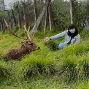 puput prima profile icon