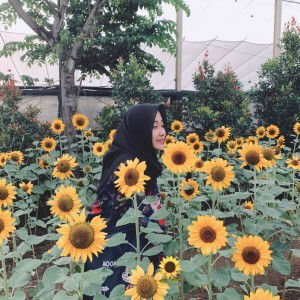 Miralda Levina profile icon