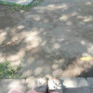 Shinta Septiana profile icon