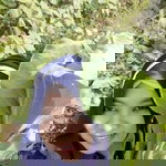 Ella Laila profile icon