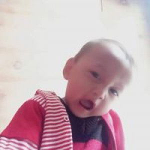 Widy Shabrina profile icon