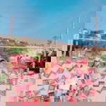 Tran Chau profile icon