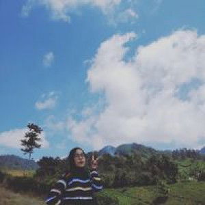 Park Mir Young profile icon