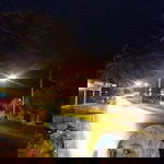 Sitih Sara Rumluan profile icon