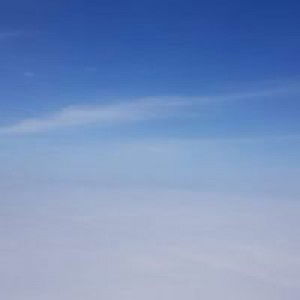 Nguyên Phan profile icon