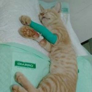 Mutiara profile icon