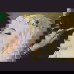 Aprilia Anggraini profile icon