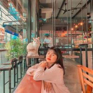 วิจิตราภรณ์ ปะจิคะ profile icon