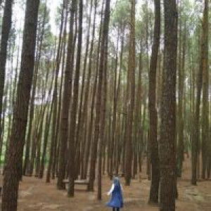 Rachmah Putri Marviany profile icon