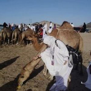 Indah Pratasari YS profile icon