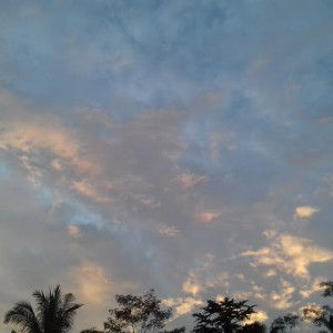 Pramudya Tika profile icon