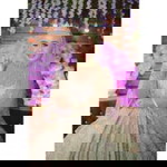 Magfiroh profile icon