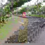 Nur Fatimah profile icon