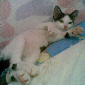 Meima Mei profile icon