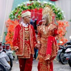 Julya Wheelda profile icon