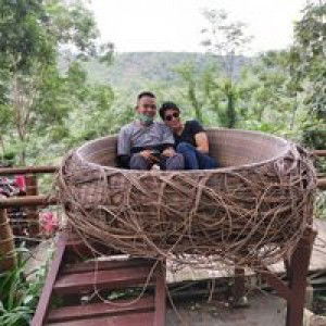 JJ Stark profile icon