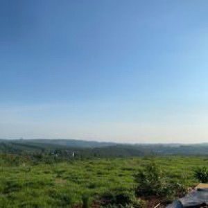 Uyen Hanna profile icon