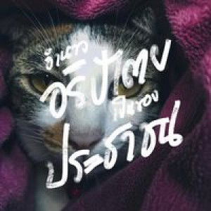 Kwanchanok K. Fai profile icon