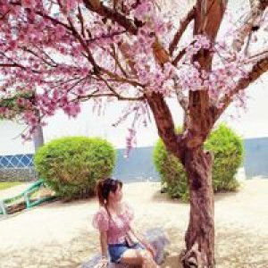 Ngọ Thị Trâm profile icon