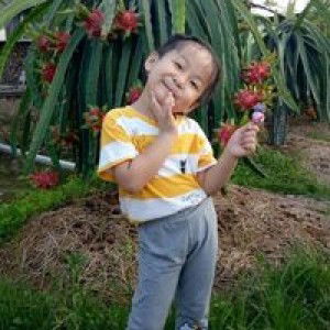 Nga Nguyen profile icon