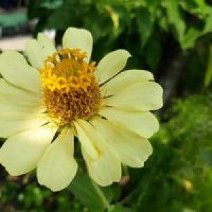 Indah Suci Lestari profile icon