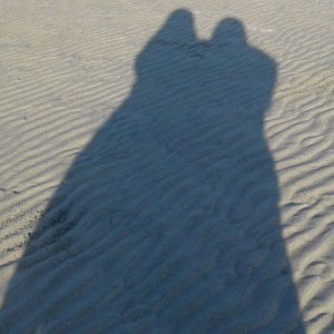 Lenny Novelia profile icon