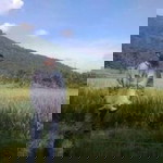 Mikhaila Humairah profile icon