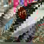 dian frasiska profile icon