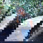 Preyanuch Dungsungnane profile icon