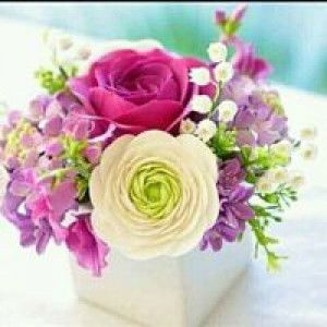 Ummah Ummahat profile icon