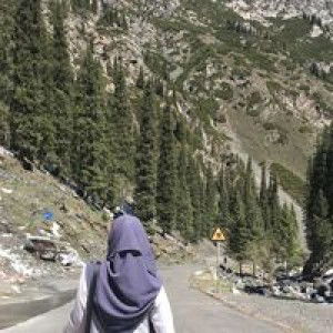 Yana Hamzah profile icon