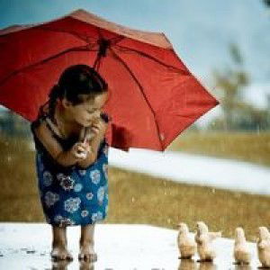 Musniar Nasruddin profile icon