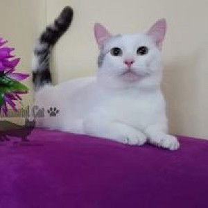 Mey Mey profile icon