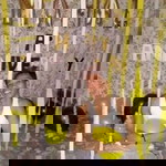 Jeric Galedo Anilas profile icon