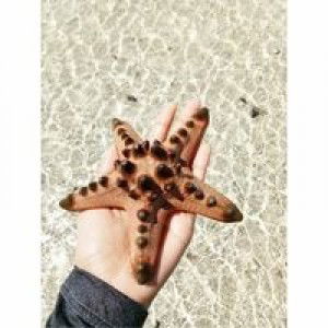 Karina Gustiawanti profile icon