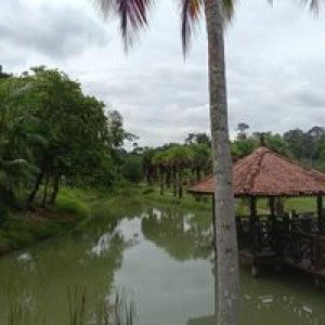 Itz Butterflysyy profile icon