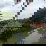 Itz Butterflysyy profile icon