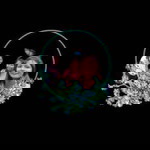 Grace Mosquida profile icon