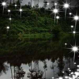 Auliya Rokhmatika profile icon