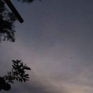 Eva Lestari profile icon