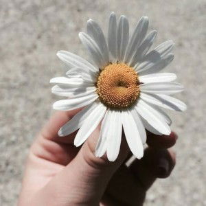 Lailtulm Maghfiroh profile icon