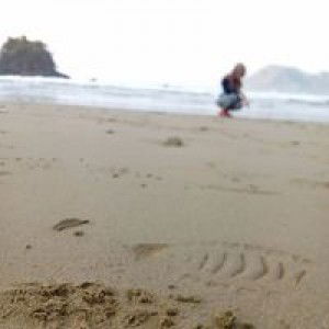 Fitrie Ardiantini profile icon