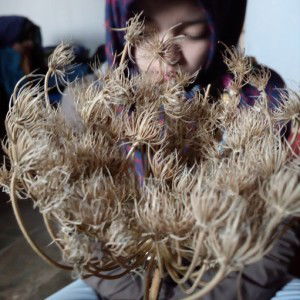 nur kholifah profile icon