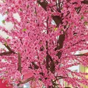 Trisha Bataller Villacastin profile icon