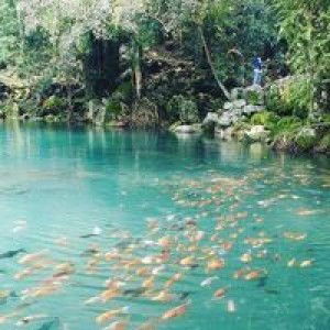 Sylviana Adam profile icon