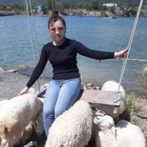 Nguyễn Trinh profile icon