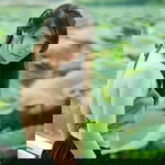 Hồng Lê profile icon