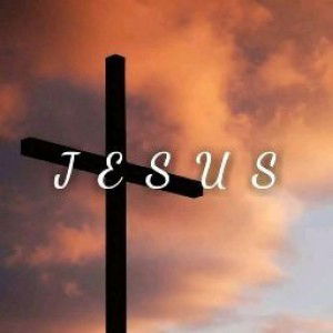 Loren Berdz profile icon