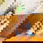 Naraporn Phrommanee profile icon