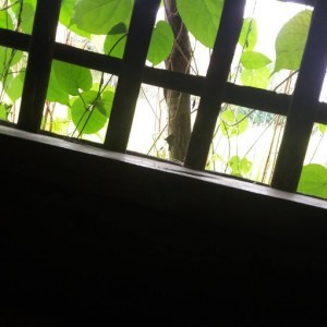 Ma Angela R Aquino profile icon